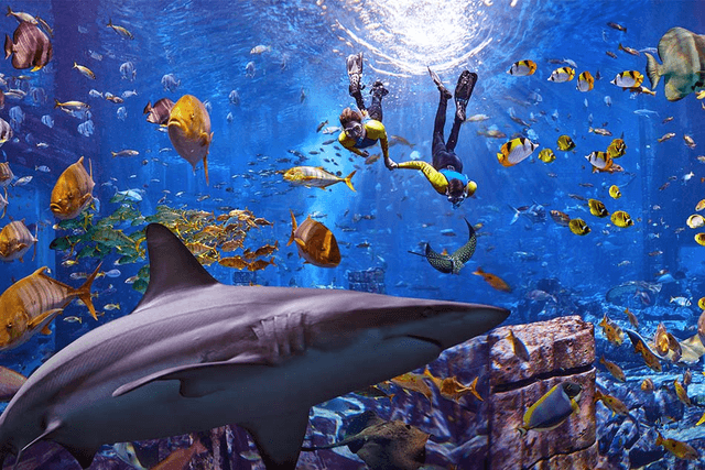 Dubai Aquarium
